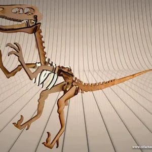 Das 3D-Velociraptor-Skelett für Entdecker